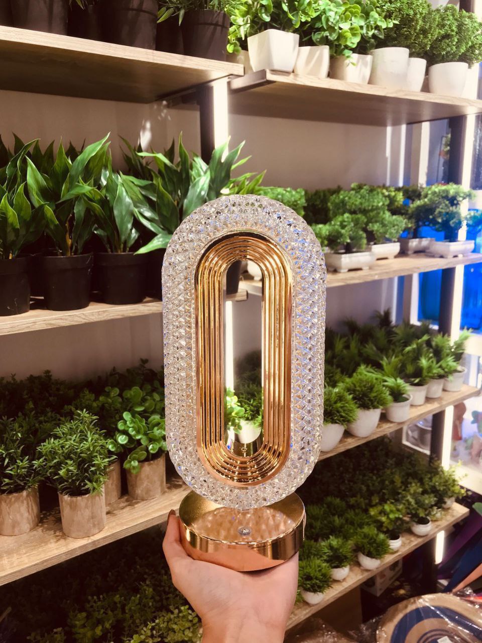 Oval Crystal Touch Table Lamp